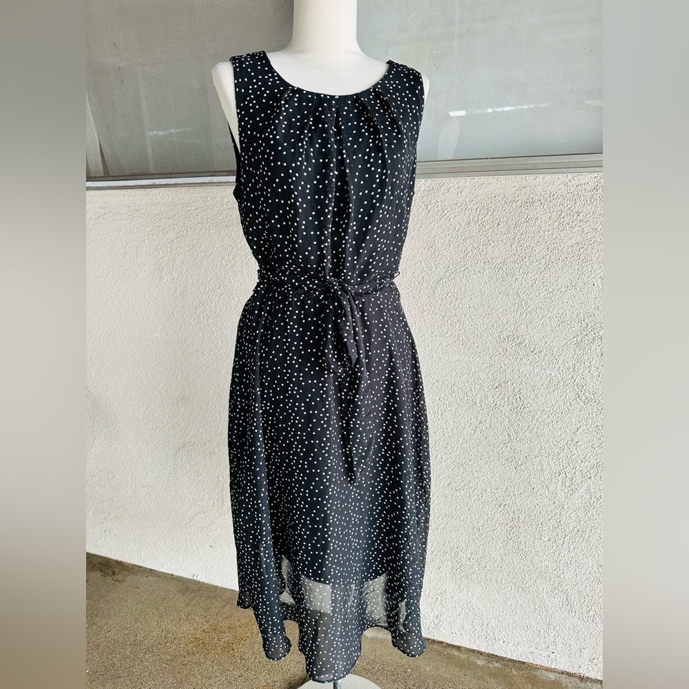 Lynn Ryan Polka Dot Dress